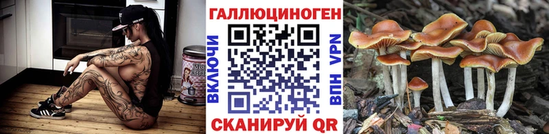 Галлюциногенные грибы Psilocybe  Балаково 